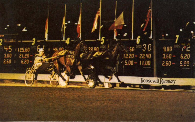 NY - Long Island, Westbury. Roosevelt Raceway, Horse Racing