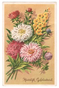 Heartfelt Congratulations - Hartelijk Gefeliciteerd