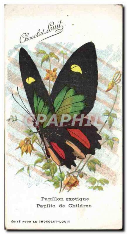 Old Postcard exotic butterfly Papilio of Children Chocolate Louit