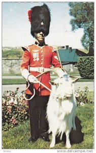 Corporal in charge of Baptiste, the goat mascot of the 22e Regiment at La ...