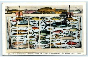 DES MOINES, IA Iowa - Collection of FISHES at BROWN HOTEL c1920s Postcard