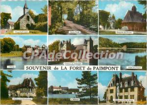 Modern Postcard Souvenir de la Foret de Paimpont