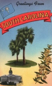 Greetings From South Carolina National Flower Palm Tree State Capital Postcard