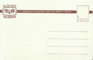 Somerset Postcard - The Recreation Ground and Herne Hill - Ilminster - Ref 7167A