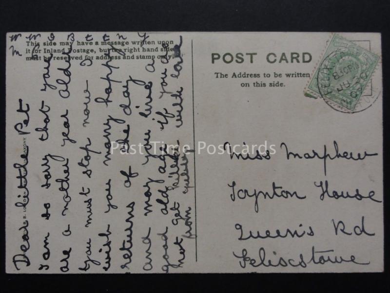 Poppies Postcard on Silvered Surface c1907 Postcard by B.B.London