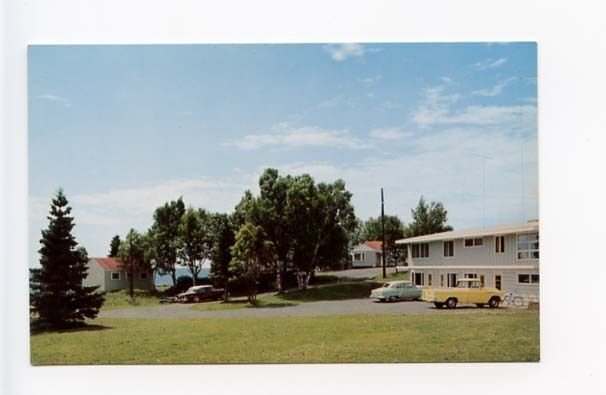 Tofte MN Olsen's Motel Old Cars Postcard