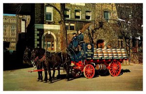 Postcard ANIMAL SCENE Milwaukee Wisconsin WI AT0142