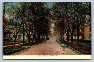 J97/ Ashland Ohio Postcard c1910 Center Street Homes 330