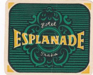 Czechoslovakia Praha Hotel Esplanade Vintage Luggage Label sk3342