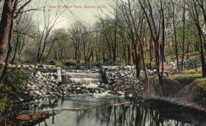 Vintage Postcard Dam in Island Park Forest Trees Rocks Warren Minnesota Minn.