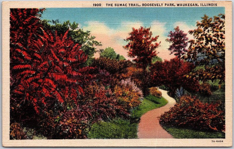 Waukegan Illinois, The Sumac Trail, Pathway, Roosevelt Park, Vintage Postcard