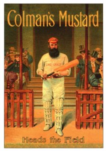 Colman's Mustard Heads the Field Cricket Series Vintage Postcard Advertising