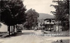 Street View Long Eddy NY Unused