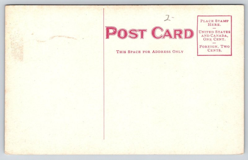 Evanston Illinois~Northwestern University~Gymnasium~c1910 Postcard