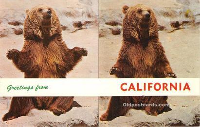 Bear Greetings from California, USA Unused 