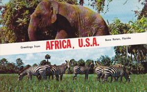 Elephants and Zebras Greetings From Africa U S A Boca Raton Florida