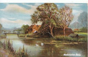 Berkshire Postcard - Woolhampton - Ref 5315A