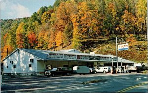 Postcard WV Rowlesburg Cool Spring Park & Restaurant Exxon Gas Station 1970s V42