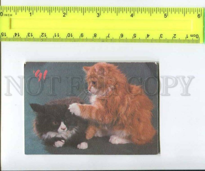 263905 USSR CAT charity Pocket CALENDAR 1991 year