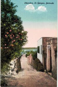 Bermuda St Georges Oleanders 1910 Unused 