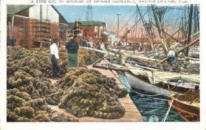 Sponge Industry - Tarpon Springs, Florida FL