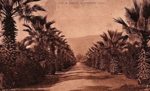 C.1910 Palm Drive, Glendora, California Postcard P122