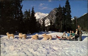 Snoqualime Pass Summit Washington WA Dog Sledding Sled Dogs Vintage PC