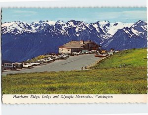 Postcard Hurricane Ridge, Lodge and Olympic Mountains, Washington