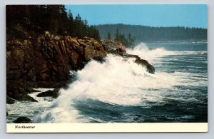 Northeaster Acadia National Park in Maine Vintage Postcard 1649
