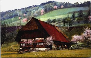 Germany Schwarzwald Kirnbachtal Kirnbach Black Forest Vintage Postcard C067