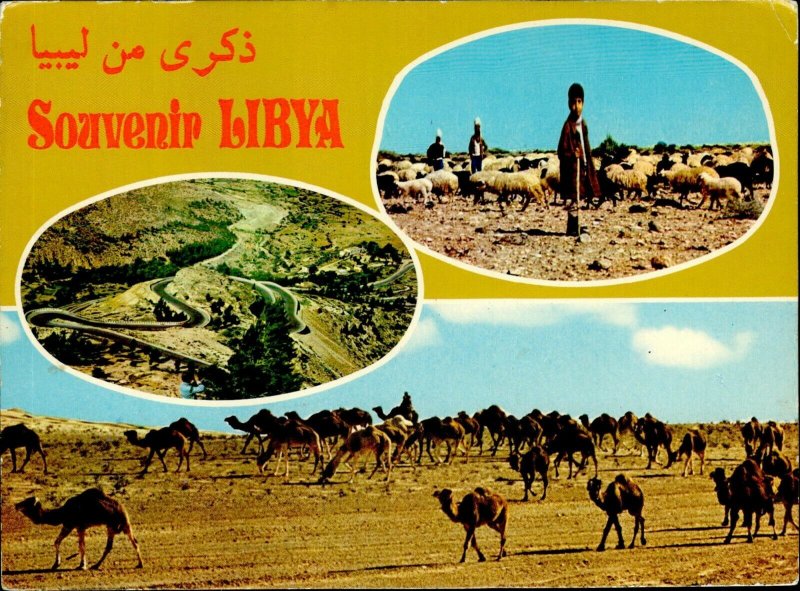 IMN04891B africa libya sheeps flock camels herd types ethnics folk costumes 