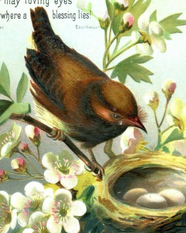 1870s-80s Eden Hooper Embossed Victorian Christmas Card Bird Nest Eggs Fab! P209