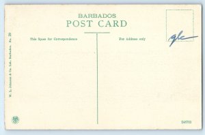 Barbados Postcard Greenery Scene Near Codrington College c1910 Antique