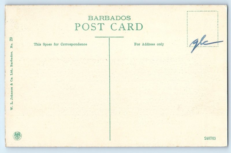 Barbados Postcard Greenery Scene Near Codrington College c1910 Antique