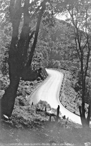 CARRETERA MEXICO~LAREDO-TRAMO ZIMAPAN-JACALA~REAL PHOTO POSTCARD