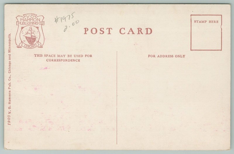 Minneapolis MN~Stone Arch Bridge St Anthony Falls & Milling District~c1910