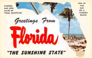 Greetings From Florida The Sunshine State Map chrome postcard