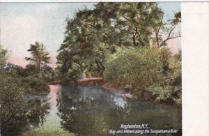 New York Binghamton Bay and Willows Along The Susquehanna