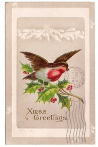 Xmas Greetings, Bird, Holly, Antique 1910 Embossed AS Meeker Christmas Postcard