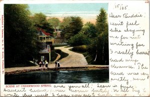 Scene at Underwood Spring, Falmouth Foreside Maine Postcard Private Mailing Card