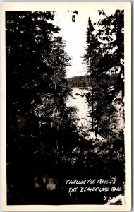 Through The Trees On The Beaver Lake Arkansas AR Road Real Photo RPPC Postcard