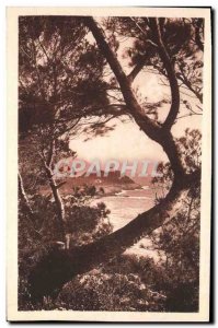 Old Postcard Corsica