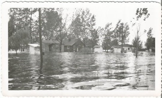 Epic Flood 1950's Flooded Homes and Streets from Real Photograph Vintage