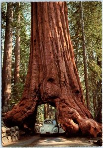 M-108491 Wawona Tree Yosemite National Park California USA