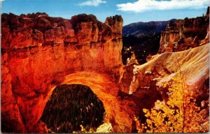 Natural Bridge Bryce Canyon National Park Utah UT Postcard VTG UNP Mike Roberts