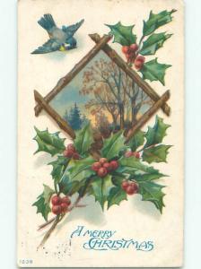 Divided-Back CHRISTMAS BIRDS SCENE Pretty Postcard W8560