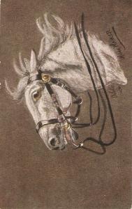 Hilda Walker. Horses Heads Tuck Oilette Postcard No. 9692