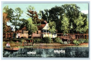 c1910 Dame's Farm Park Grounds Near Green Bay Wisconsin WI Antique Postcard 