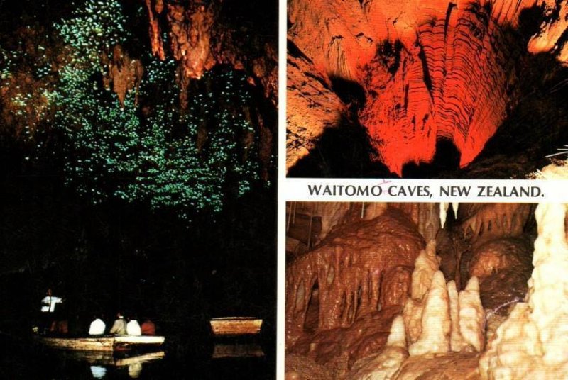 VINTAGE CONTINENTAL SIZE POSTCARD WAITOMO CAVES NEW ZEALAND MAILED CHRISTCHURCH