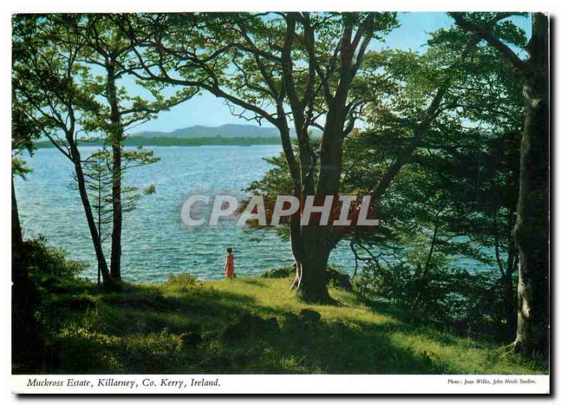 Postcard Modern Muckross Estate Killarney Co Kerry Ireland